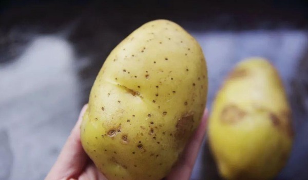 家里的土豆放久了就长芽了教你3招，久放也不长芽不变色