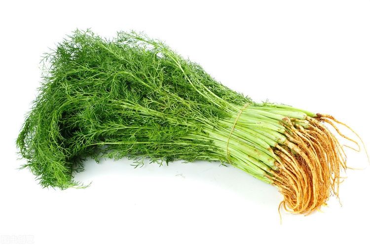 冬天茴香是个宝，和猪肉包成饺子，记住2放1不放，鲜香味美真好吃