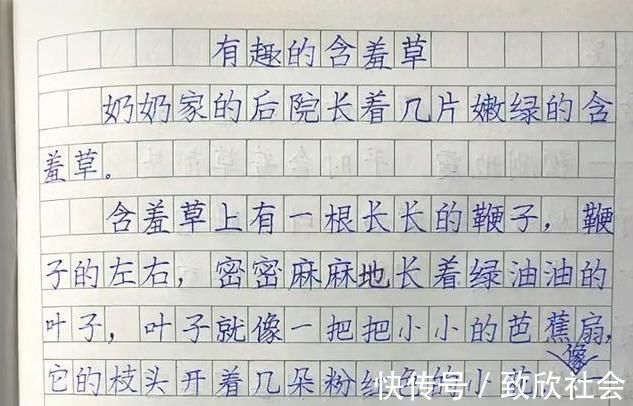 作文！家长晒二年级学霸作文，字迹严谨规范，端庄大气，堪比“教科书”