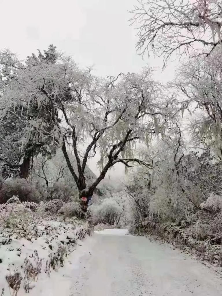 故乡|雪落故乡，让我更认识你——汶川!