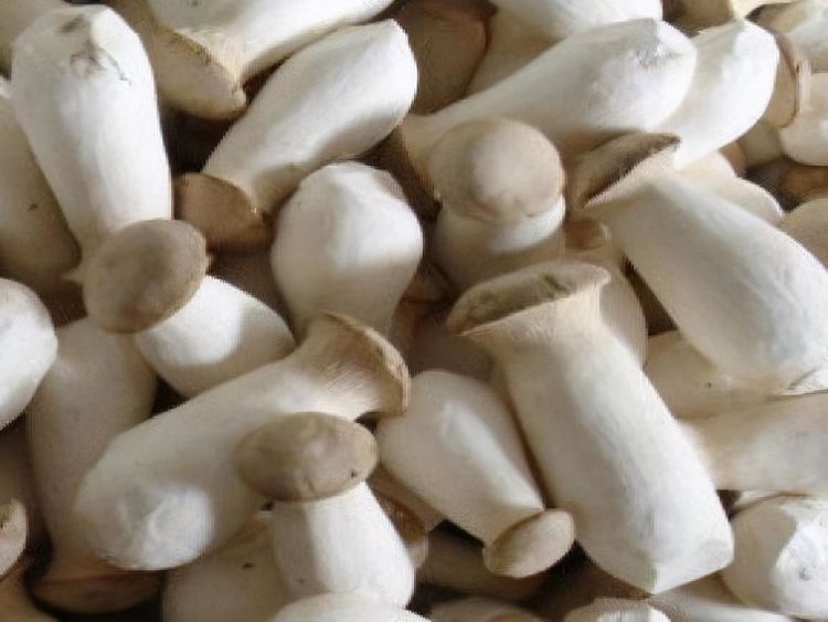 营养素|女性不妨坚持吃3种食物,美容养颜、延缓衰老,早吃早好!