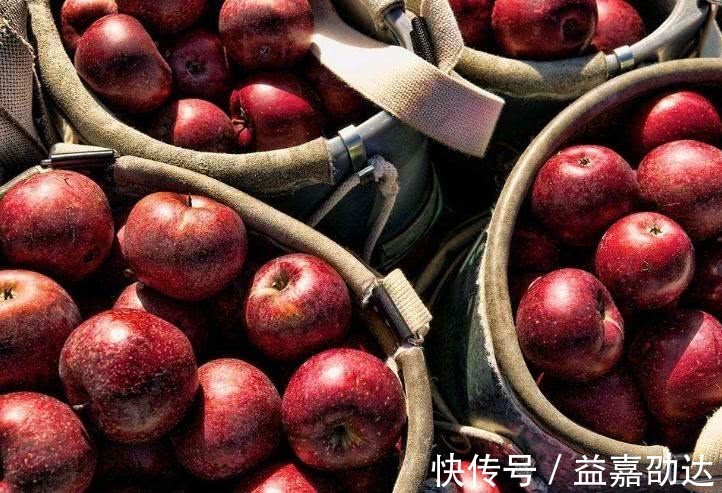 女人|女人熬夜后多吃以下4种水果,能缓解疲劳、延缓衰老