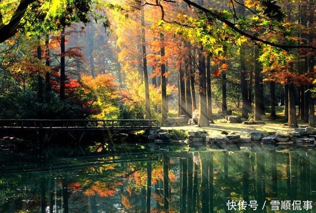 谈心|朋友牢骚满腹,伟人毛泽东写诗谈心劝导,一首传世名篇横空出世