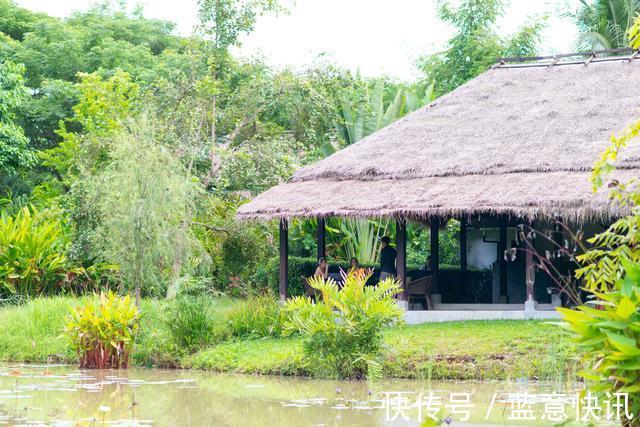 琅勃拉邦|老挝唯一的植物园，完全没有政府资助，拥有绿到犯规的美景