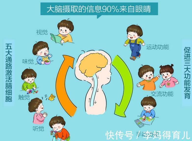 宝宝|哈佛研究发现:3岁前,宝宝多接受这些“刺激”,大脑会更聪明