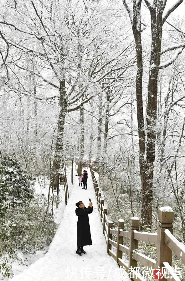 世界|这里是光雾山，是如画的冰雪世界