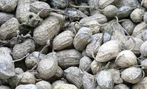 肝不好的人，少吃3种伤肝食物多喝4水，护肝排毒，肝会越来越好