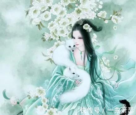 镖队@聊斋故事:狐仙助夫