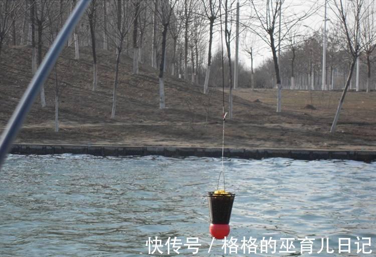 打窝良久不发窝，不一定是窝料的问题，可能打窝的方法不太对