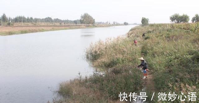 不怕小鱼的蚯蚓挂法,无倒刺鱼钩适用,秋冬野钓上鱼更多!