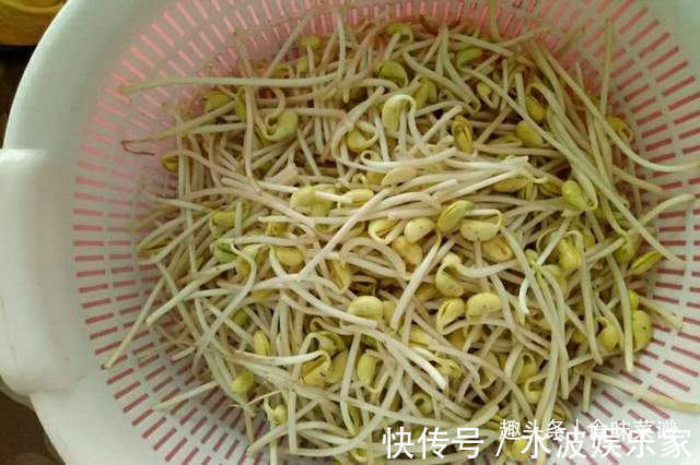 滤布|教你在家发豆芽，不用土壤不用肥料，3天就能吃，脆嫩营养又卫生