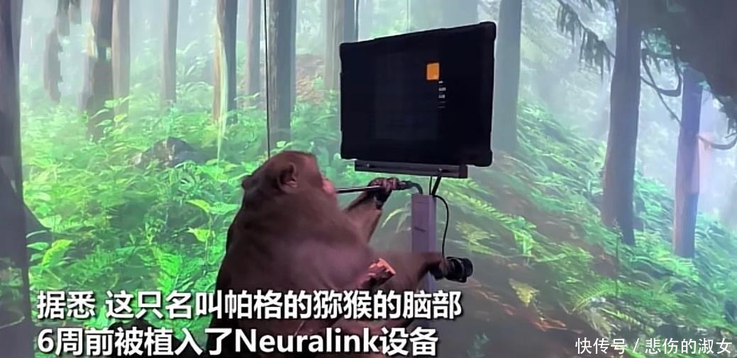 炸了四次,马斯克“星舰飞船”终于刹车成功,网友比特斯拉靠谱