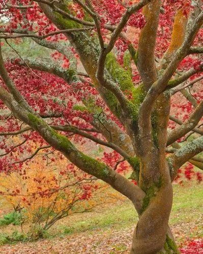 传来|太美了,世界照片今天终于传来,罕见至极,一睹为快