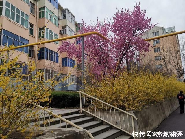 事物|让读者感受到所描述事物的真实