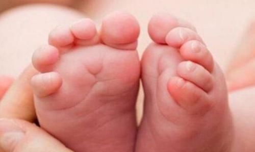 受精卵|中国第一个试管婴儿，现今已经31岁了，那么她跟普通人有何不同