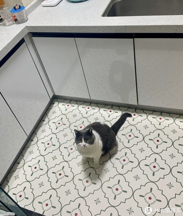 湿巾|差生文具多!别看我下厨不行,但厨房工具却都能买到我妈心坎里!