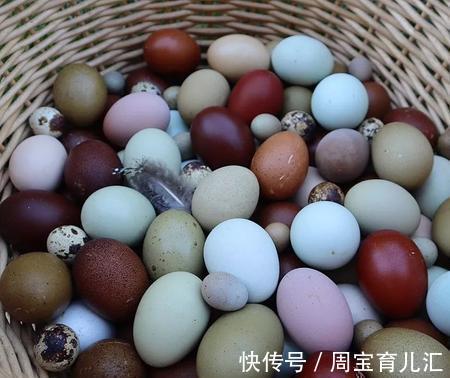 鴨蛋|雞蛋、鴨蛋、鵝蛋、鵪鶉蛋，哪種營養更高？醫生：3種蛋盡量少吃