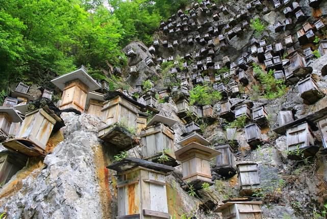 湖北面积最大风景区，风景迷人传说颇多，景观丰富看完不易