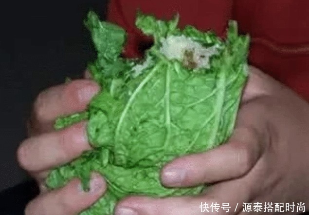 吃完|东北人冬天囤500斤白菜,都是怎么吃完的当地人说多了都是泪