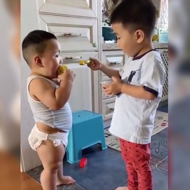 二宝|哥哥耐心地给弟弟“喂饭”火了,网友留下弟弟被哥哥喂胖的证据