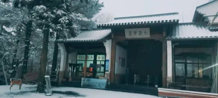 天目山景区|美如仙境！杭州、宁波下雪了，朋友圈看雪走起~