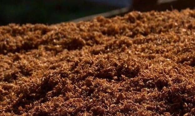 淘米水加点料,没有异味,肥效能翻10倍,养啥花都旺