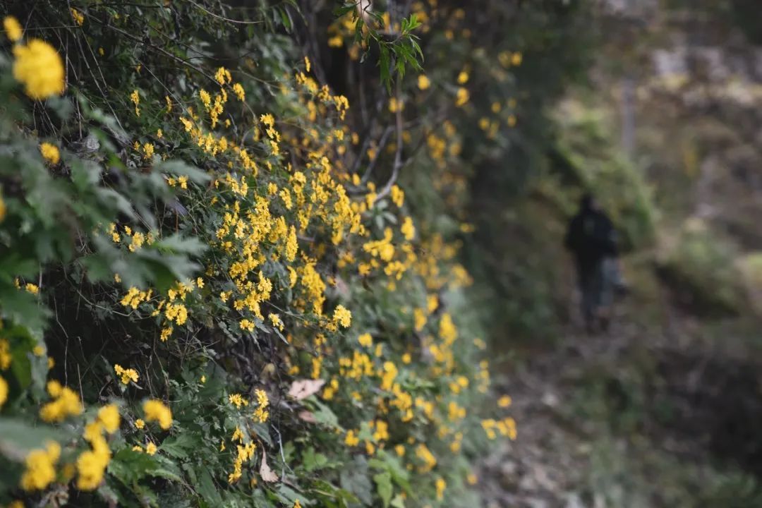 秦岭秘境新发现——留坝许家山，藏在陕南的关中古村