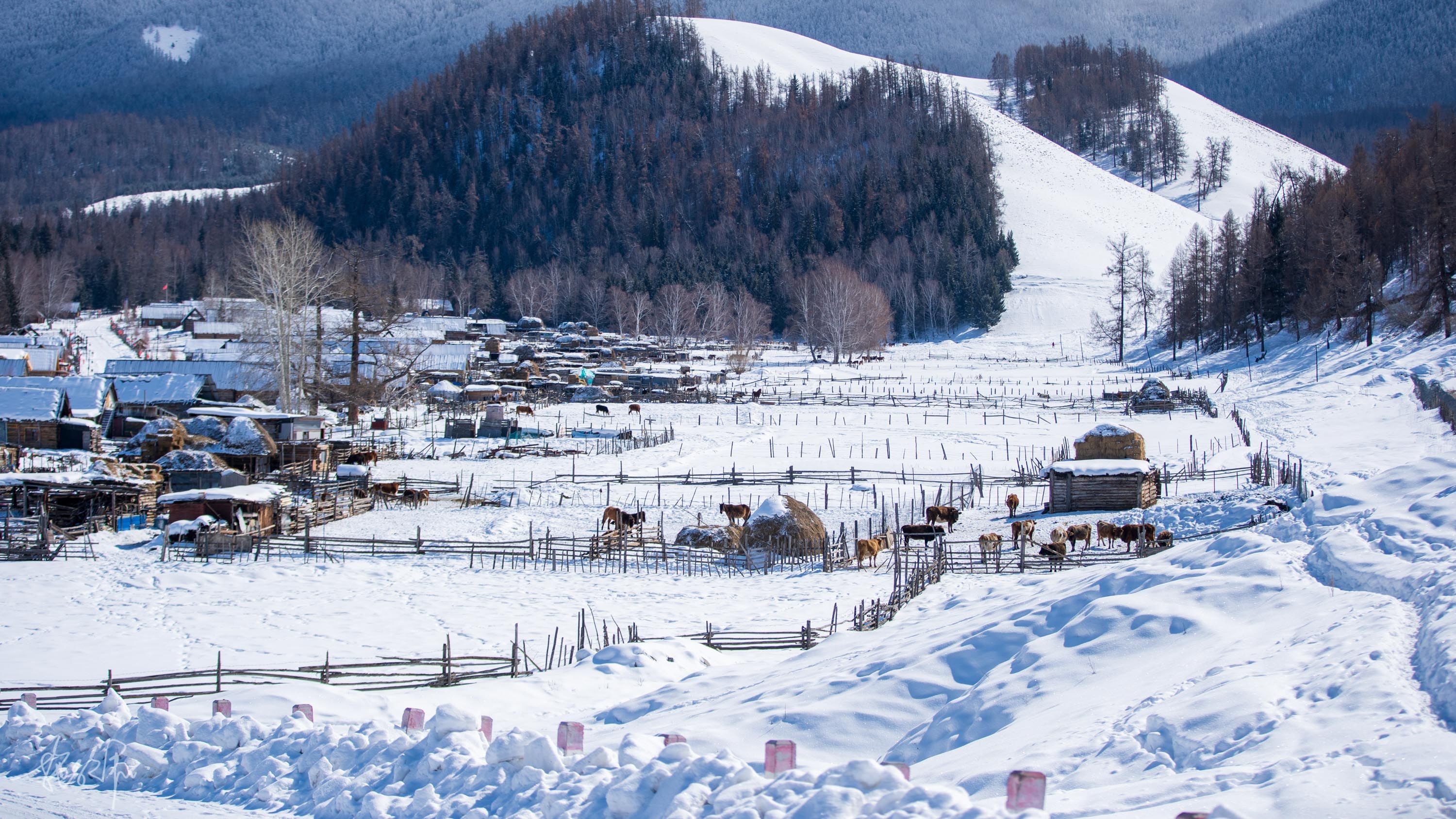 自驾新疆23天：北疆冰雪童话世界（上）