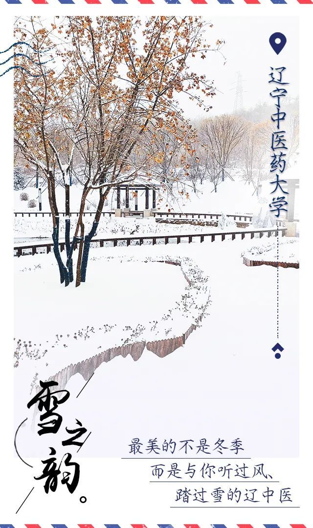 高校|辽宁高校初雪明信片美哭了