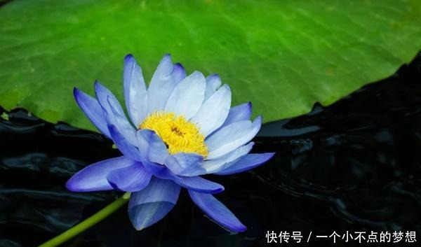 做人,别干4种“傻事”,方为处世的“高手”