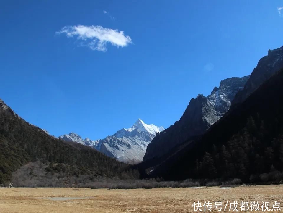 中年|虽小而隐秘，但它美到惊人