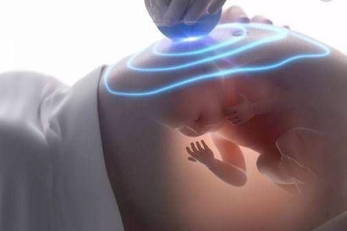 暗示|孕中期,若腹中胎儿有这3个“暗示”,可能你怀的是个“小天才”