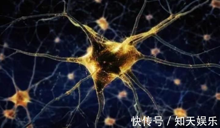 大脑|超准老年痴呆测试图4张图测出你的大脑年轻程度,快来测测看