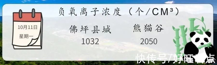 佛坪|魅力陕西行·山色空蒙雨亦奇！秋雨后的佛坪，山幽云雾绕