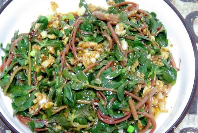 明儿|这野菜是“天然消炎药”，夏天遇到别放过，常吃食疗效果就是好