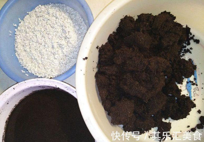 养花技巧：养花别用这种盆，养啥死啥，1棵都不剩