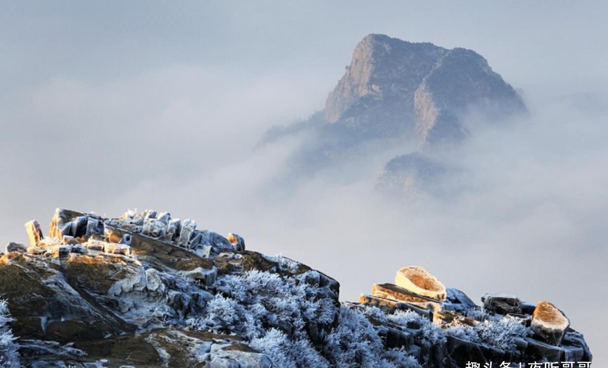 泰山|郭沫若解释泰山“虫二”二字,但鲁迅也有自己的看法