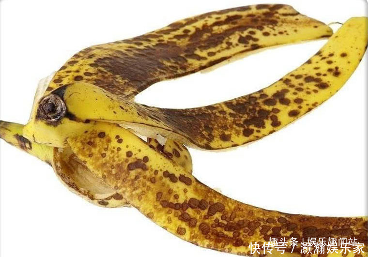 浇花|香蕉皮和红糖泡在一起，用来浇花效果惊艳，看完抓紧试试