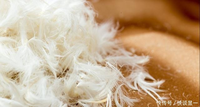 今年羽绒服变得好时髦!买这些,好看保暖又能凸显你的品味