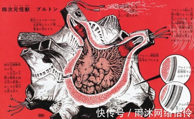 结构|奥特曼里的怪兽,身体结构是怎么样的?官方公开的信息很吓人