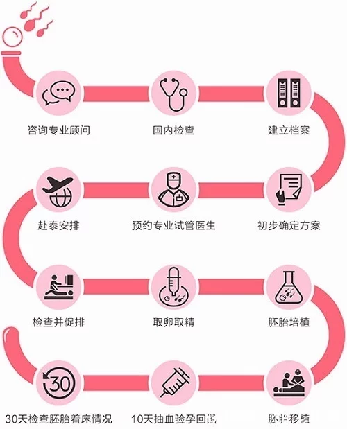 成都供卵试管公司（做试管婴儿需要准备一些什么资料？）