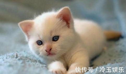 |幽默笑话：昨晚我和媳妇吵架，最后老婆被我逼急了，后果很严重！