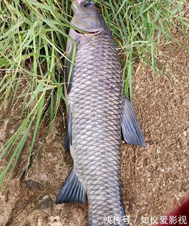 大部分|野钓都有哪些惊喜？大部分是送菜，还有捡首饰发家致富的