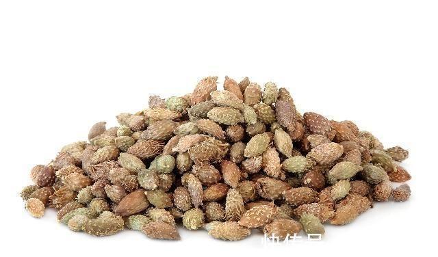 神农本草经|一毒物被称“上通脑顶,下行足膝”,可散风寒,通鼻窍,祛风湿