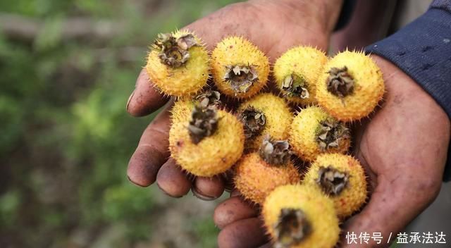 不易衰老的女人,多半爱做这4件事,若你符合,真值得炫耀