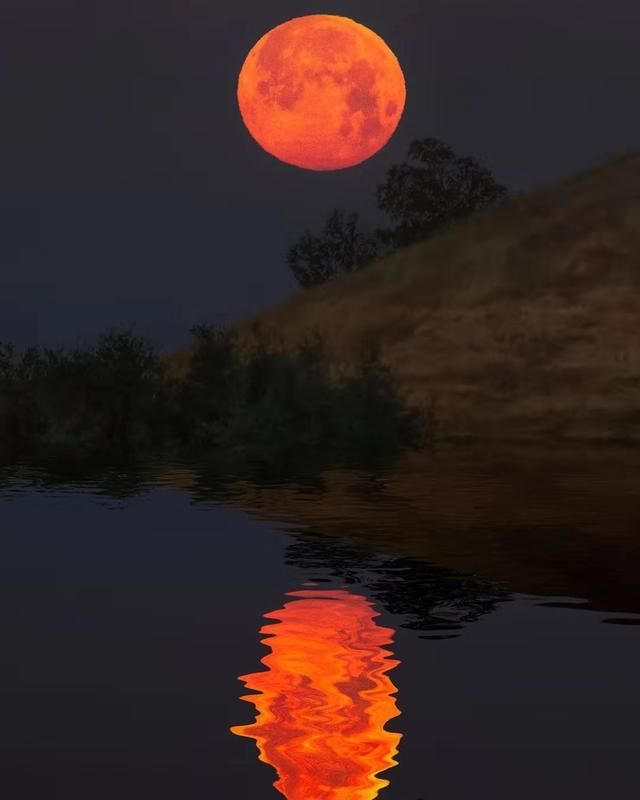 嫦娥|一轮月亮，24首诗词:邀约吴刚倾尽醉，何方游子不思家?