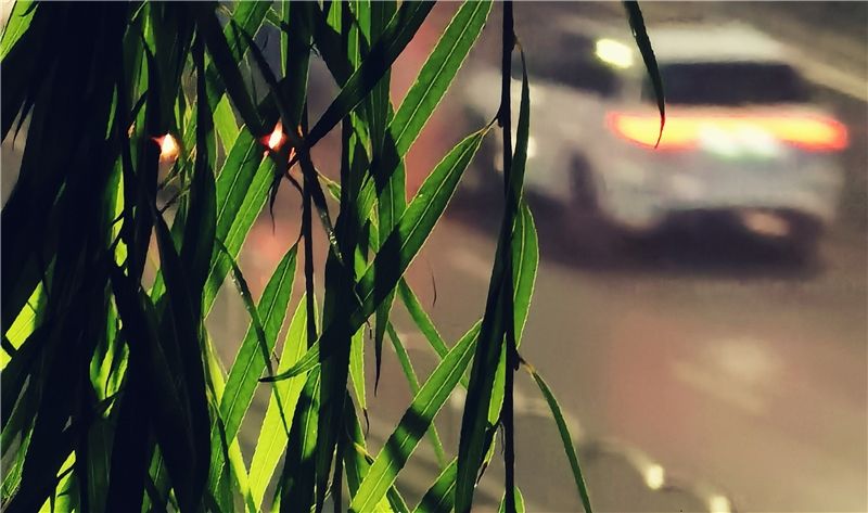 间维度|全球首款自由曲面镜头手机告别畸变!华为Mate40 Pro+超大杯评测