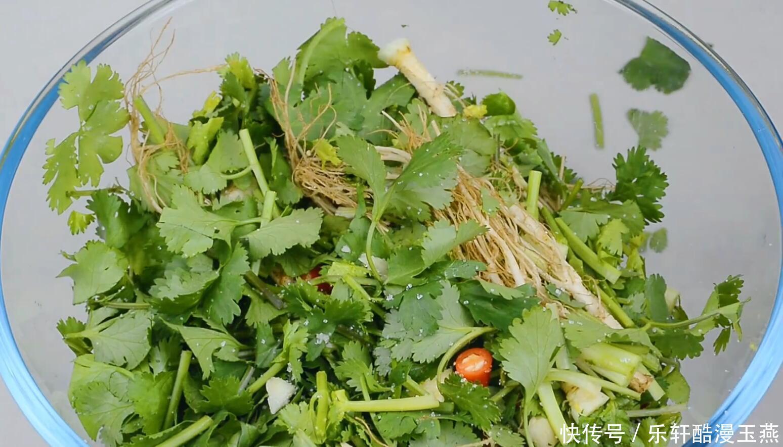 香菜买多了怎么办大厨教你储存技巧,1分钟学会,放一个月不会坏