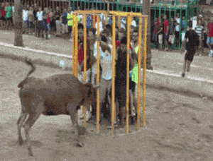 |爆笑段子:大哥这是保龄球不是手榴弹啊