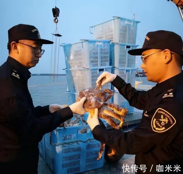 揭秘|揭秘俄罗斯帝王蟹:市场、新格局,鲜美食材背后有看不到的博弈